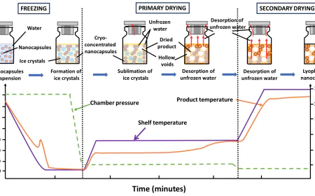Explanation of the freeze-drying process (lyophilization) in pharmaceutical preparations
