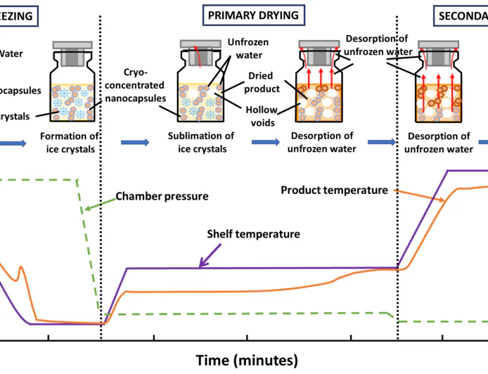 Explanation of the freeze-drying process (lyophilization) in pharmaceutical preparations